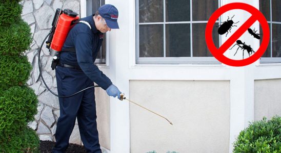 Yeşilhisar Fare İlaçlama böcek ilaçlama ve haşere kontrolü — ilaclama-tr.com